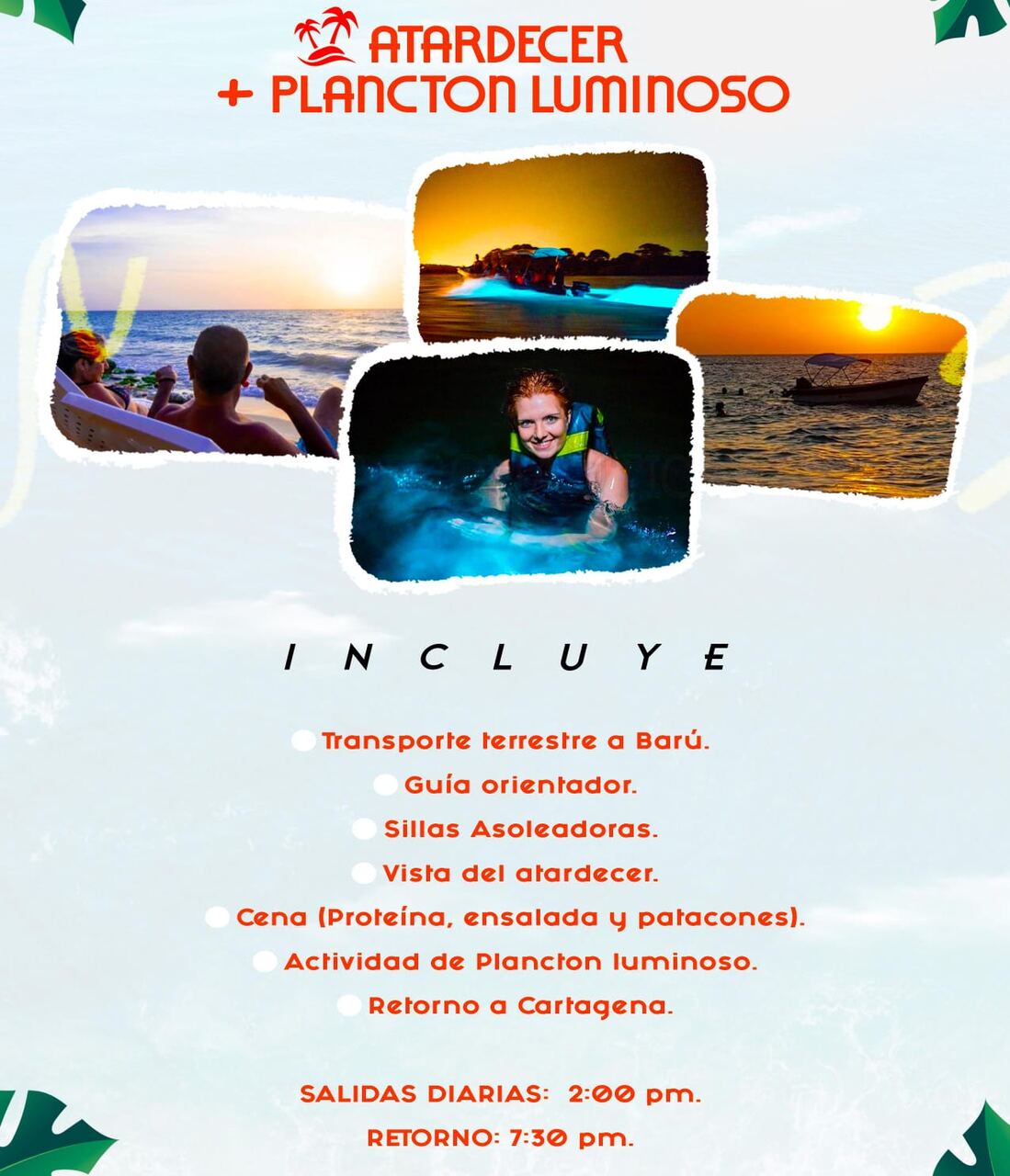 Barú + Plancton
