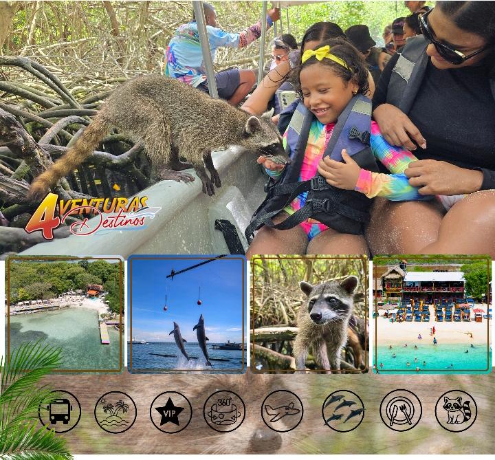 Tour 4 Aventuras